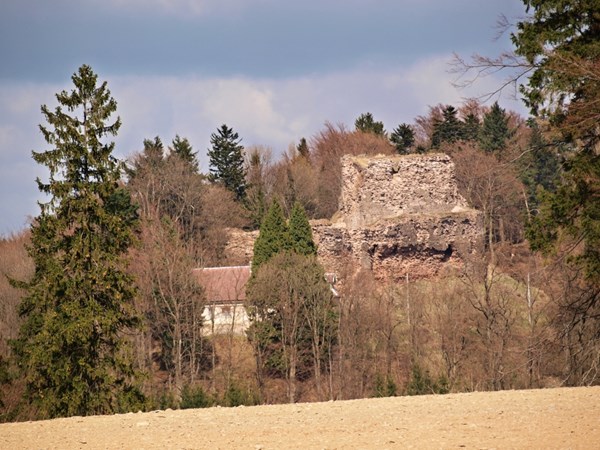Zřícenina hradu Frymburk